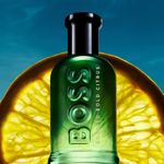2---HBO_Summer_25_Digital_KV_BB_CITRUS_2500x2500